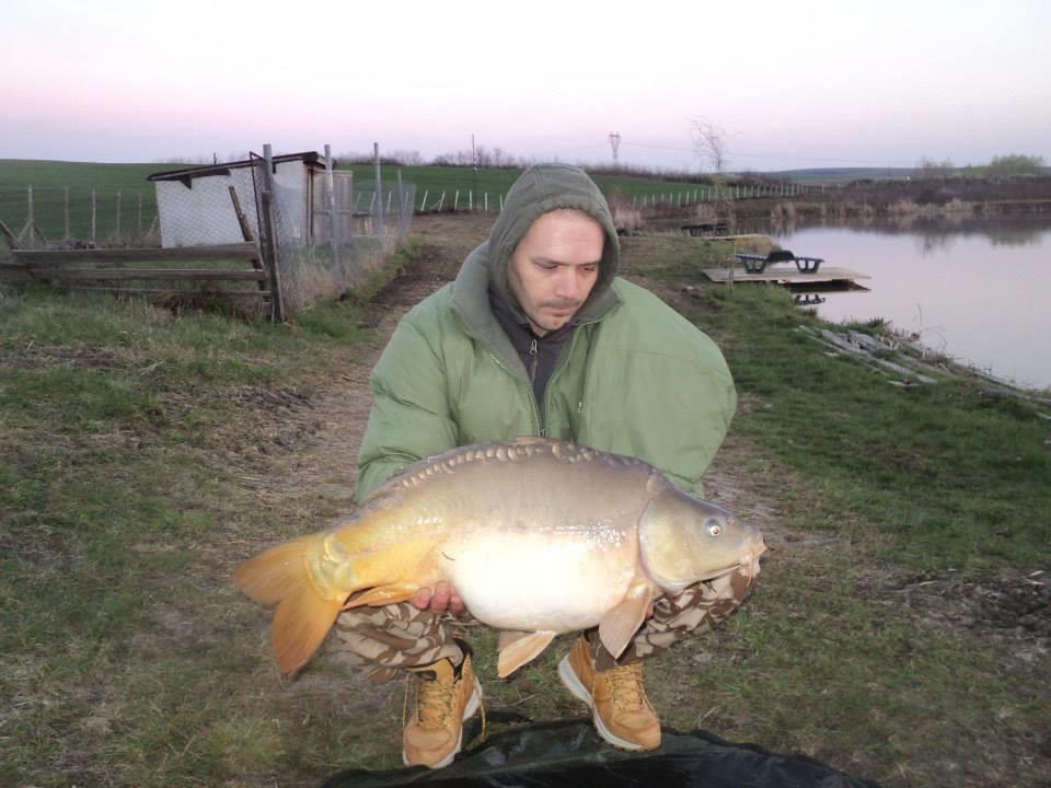 1 - 11508687263996207261931453392328n1.jpg